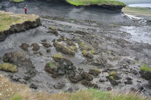 thawing coastal permafrost