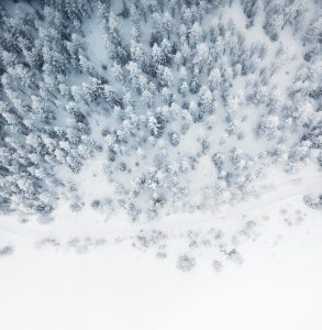 Aerial view of the edge of a snowy forest.
