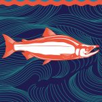 stylized salmon in red and white swims against a dark blue and teal current with swirls and eddies
